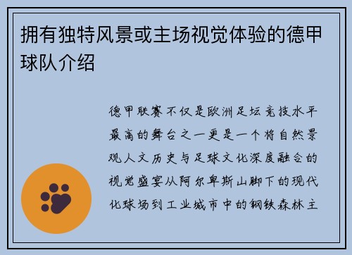 拥有独特风景或主场视觉体验的德甲球队介绍